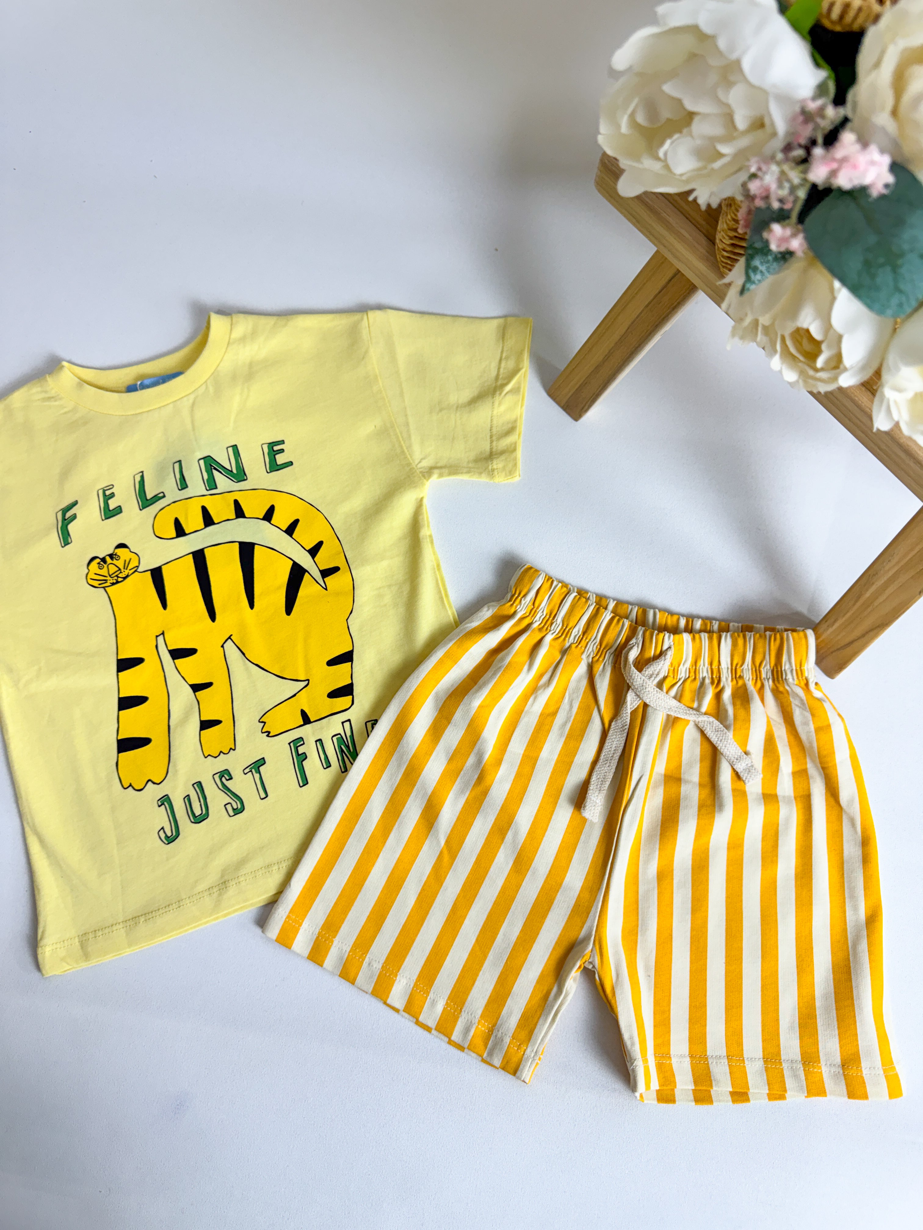 FELİNE SUMMER TAKIM