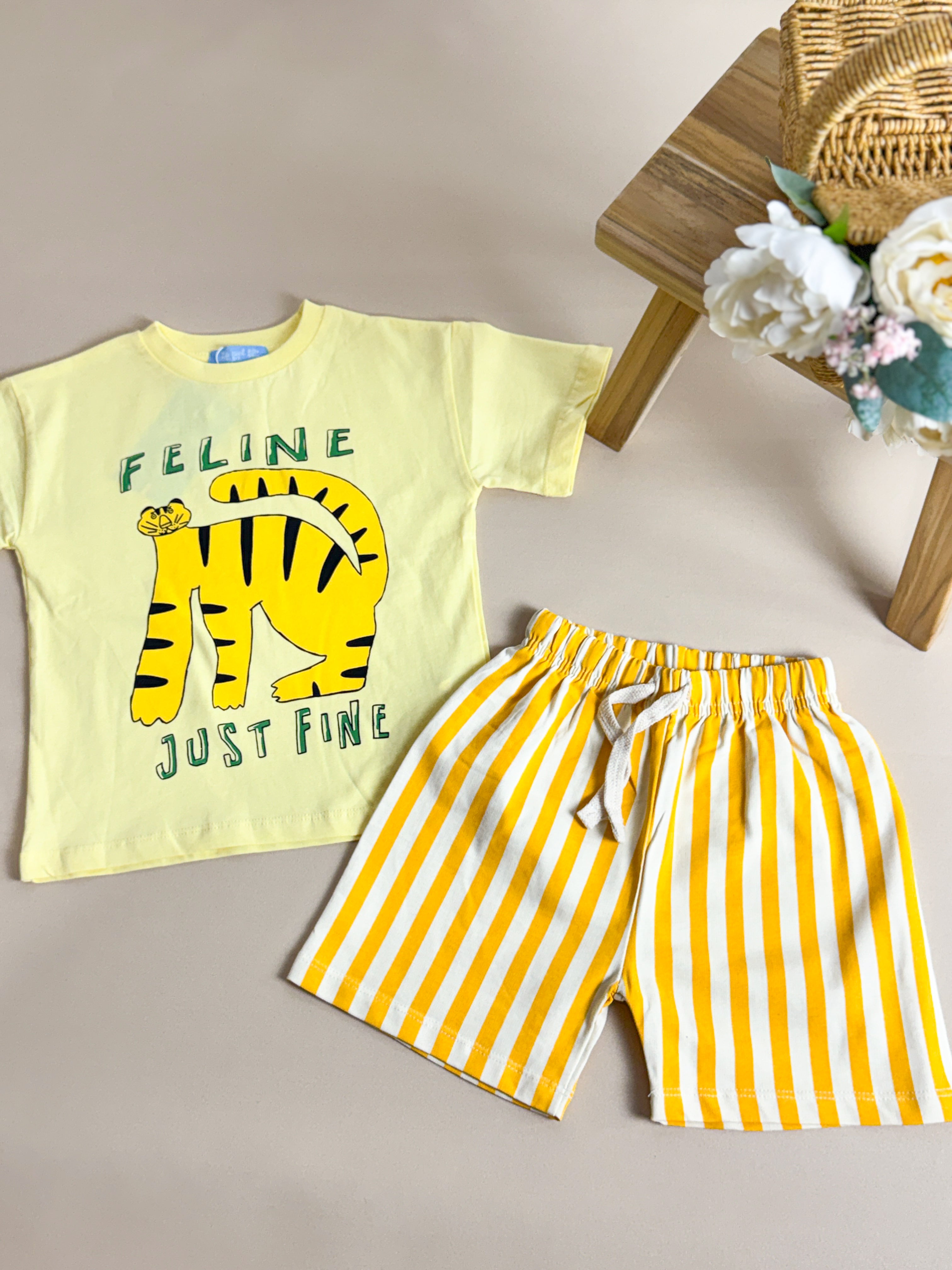 FELİNE SUMMER TAKIM