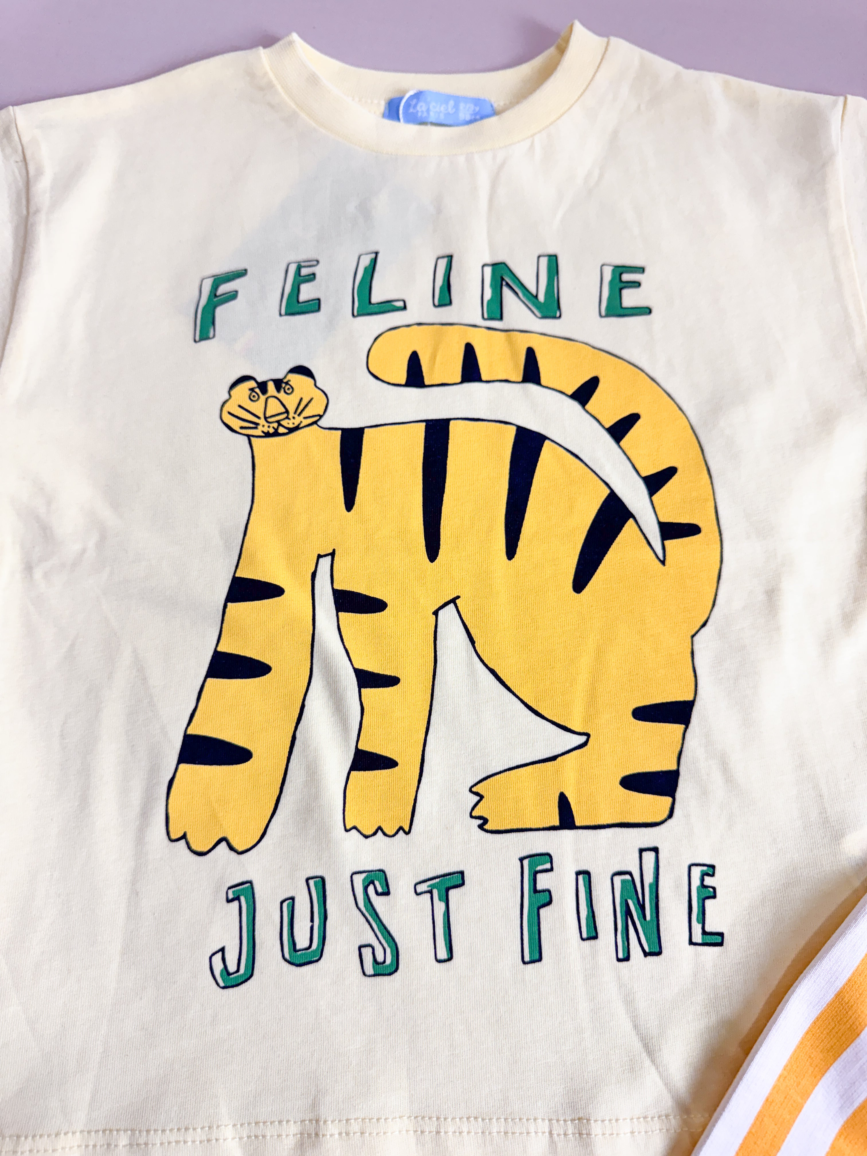 FELİNE SUMMER TAKIM