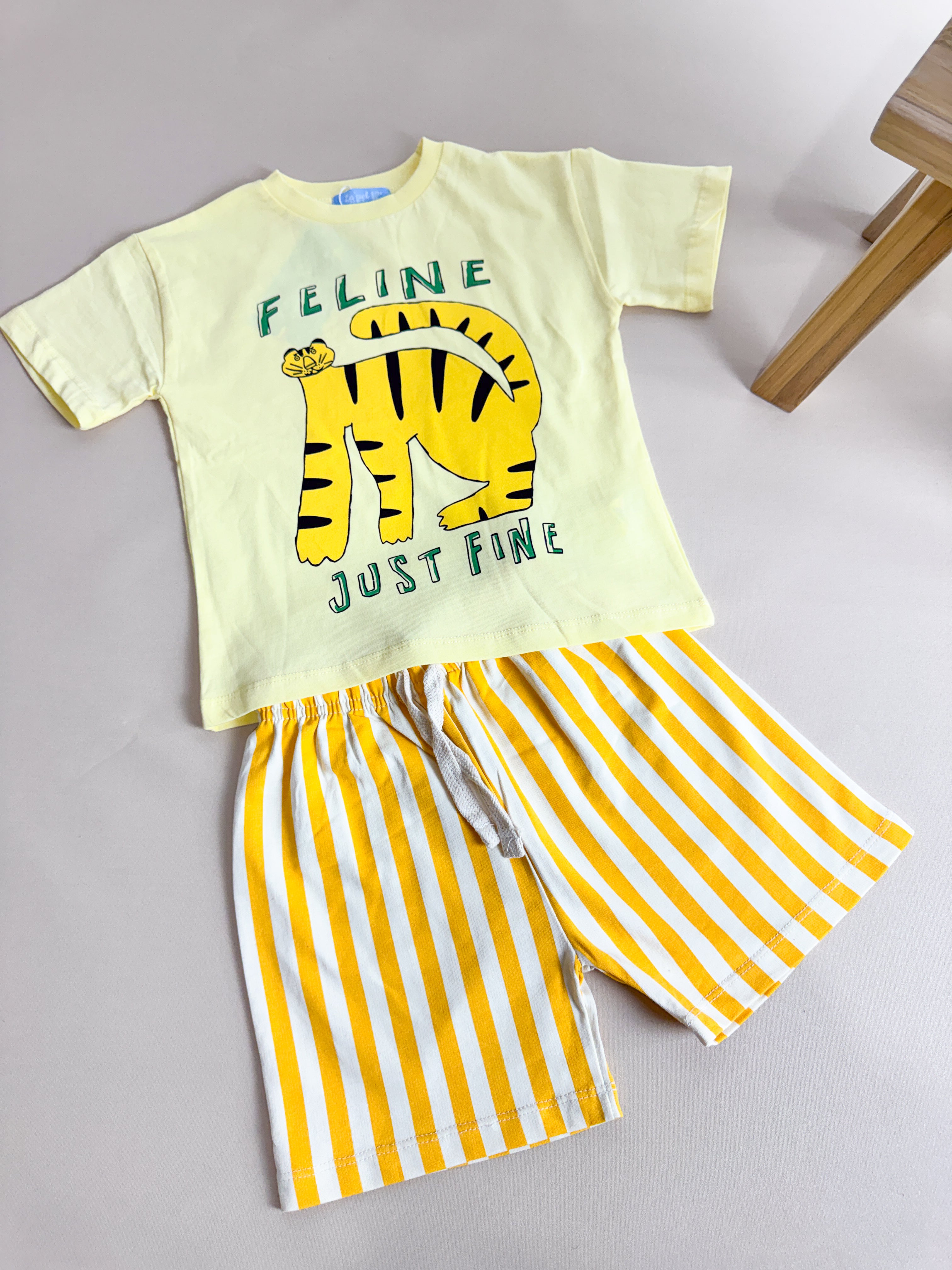 FELİNE SUMMER TAKIM